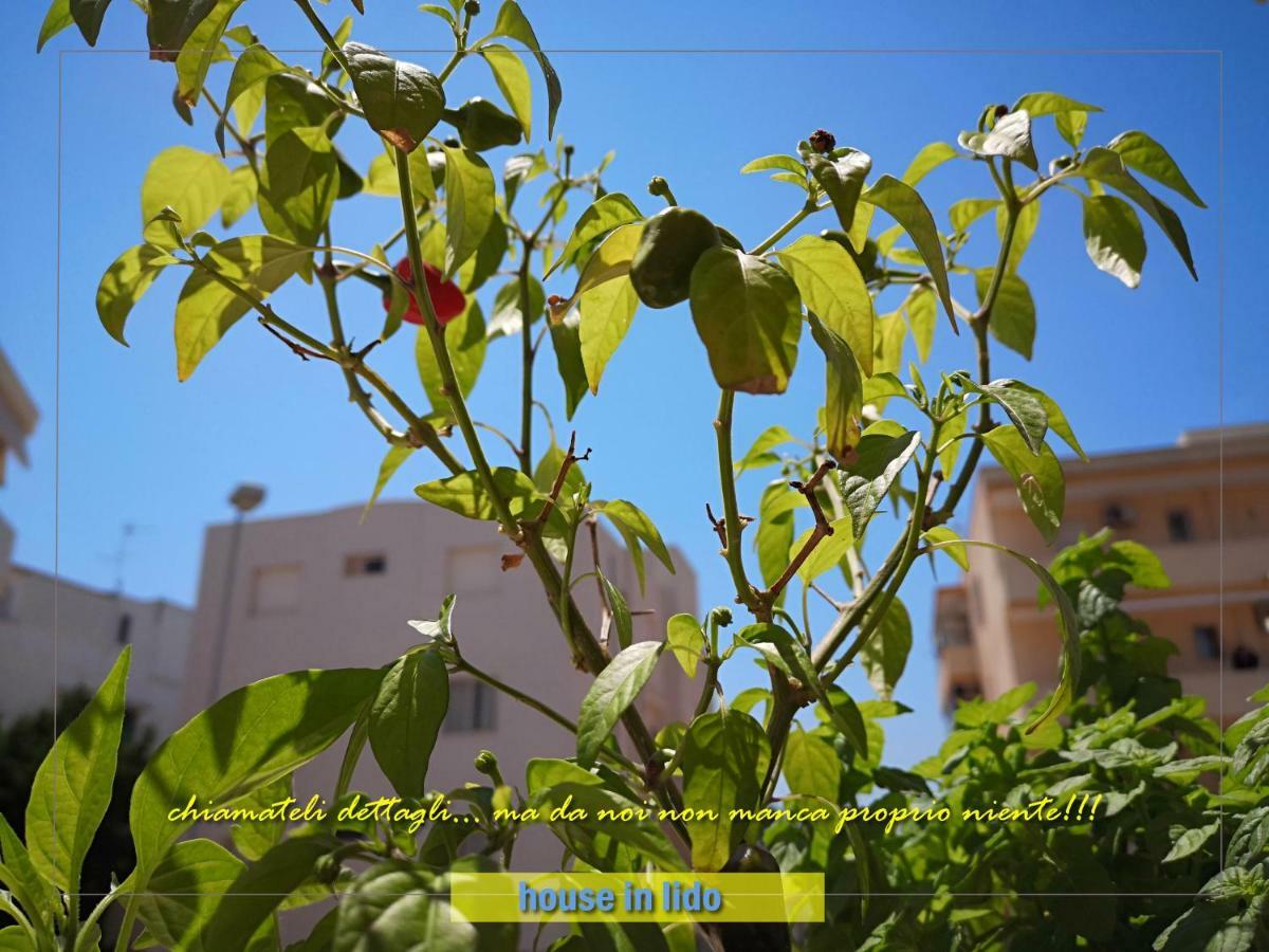 加利波利House Lido别墅 外观 照片